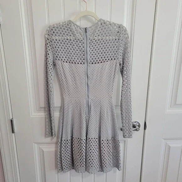 NWT BCBGMAXAZRIA HAZE KYLA A-LINE LONG-SLEEVE DRESS SIZE XS - Picture 5 of 6